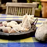 Urlaubspension 'hohes Rott' Und Apartmenthaus Casa de hóspedes Heiligenstadt