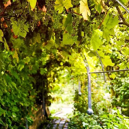 招待所 Urlaubspension 'hohes Rott' Und Apartmenthaus