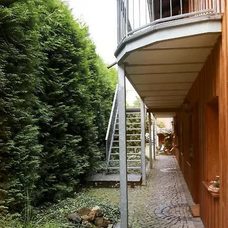 Urlaubspension 'hohes Rott' Und Apartmenthaus 招待所