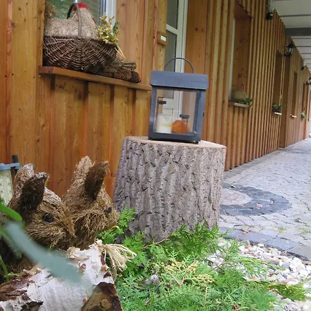 Urlaubspension 'hohes Rott' Und Apartmenthaus Casa de hóspedes