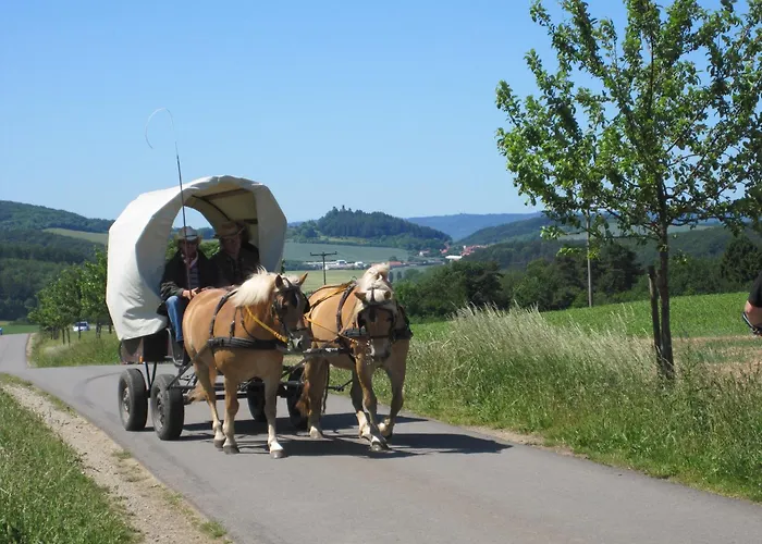 Konukevi Urlaubspension 'hohes Rott' Und Apartmenthaus 4*