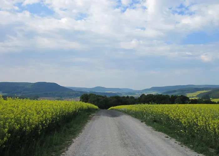 Konukevi Urlaubspension 'hohes Rott' Und Apartmenthaus Heiligenstadt