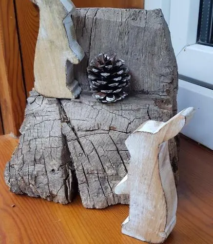 Urlaubspension 'hohes Rott' Und Apartmenthaus Konukevi